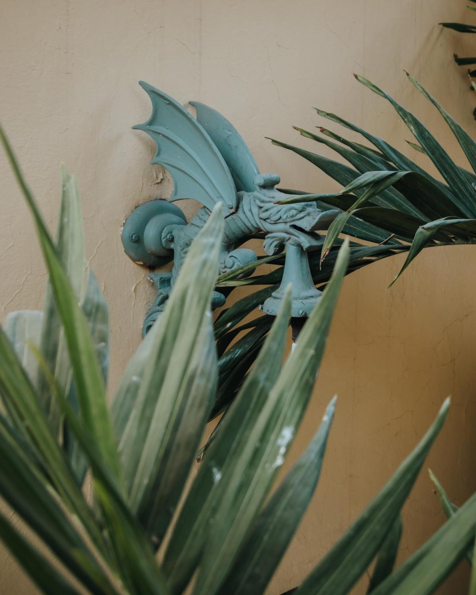 Bed and Breakfast Casa Florida San Miguel de Allende Zewnętrze zdjęcie